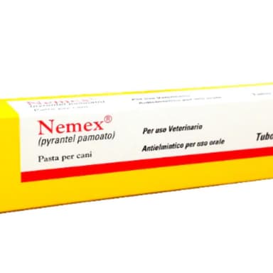 Nemex Cani*Os Pasta Tubo 24g