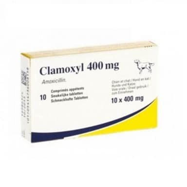 Clamoxyl Pal.Tab.*10cpr 400mg