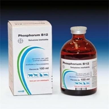 Phosphorum B12*Iniet Fl 100ml