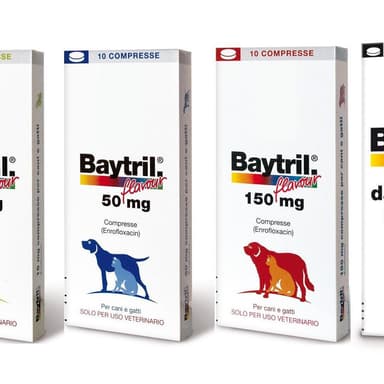 Baytril Flavour*100cpr 15mg