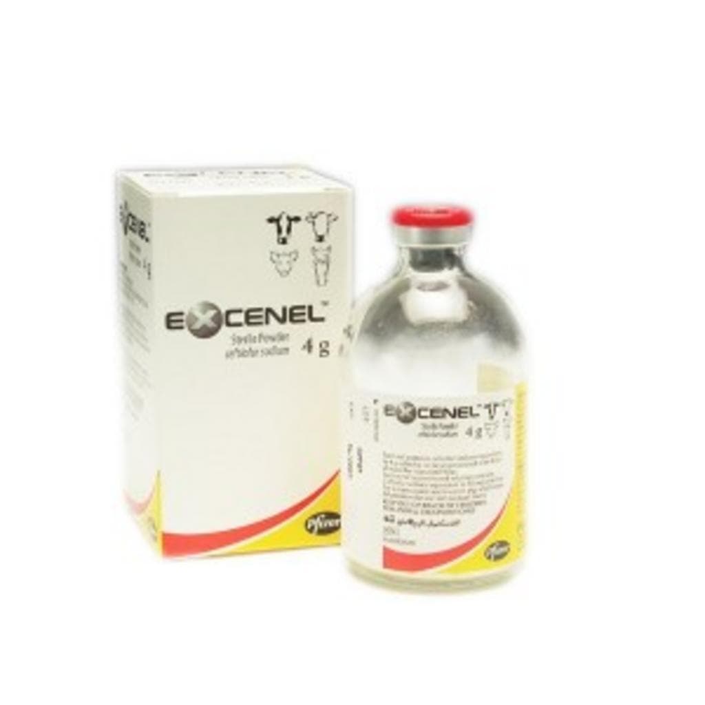 Excenel*Fl 4g Cavallo Sport