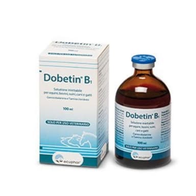 Dobetin B1*Iniet Fl 100ml
