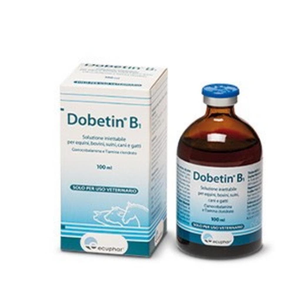 Dobetin B1*Iniet Fl 100ml