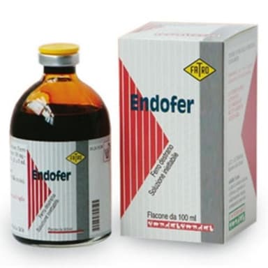 Endofer*Iniet Fl 100ml