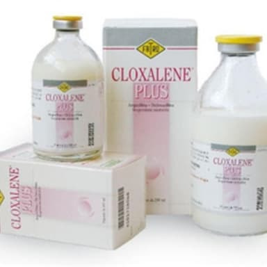 Cloxalene Plus*Im Fl 250ml