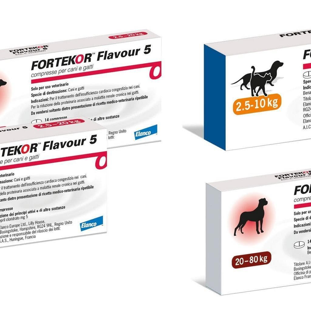 Fortekor Flavour*56cpr 5mg