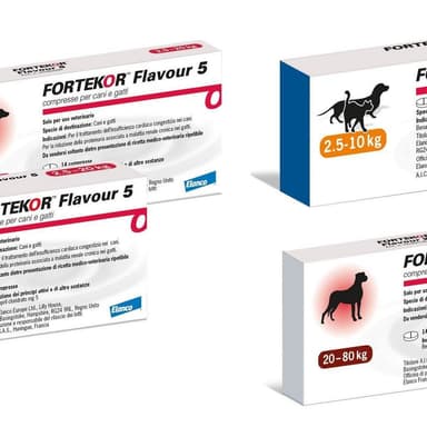 Fortekor Flavour*14cpr 20mg