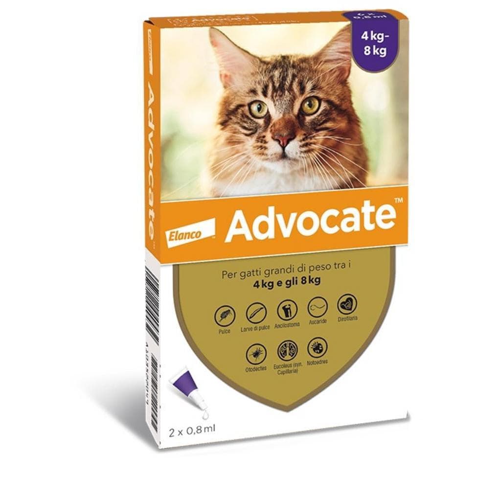 Advocate Sp*6pip 4-8kg Gatti