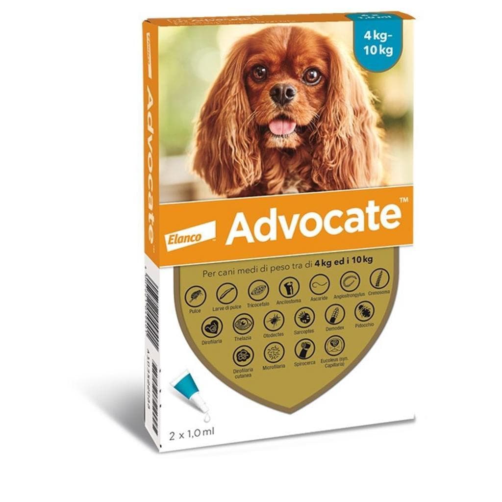 Advocate Sp*6pip 4-10kg Cani