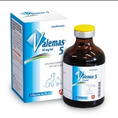 Valemas 10*Iniet 250ml 100mg/M