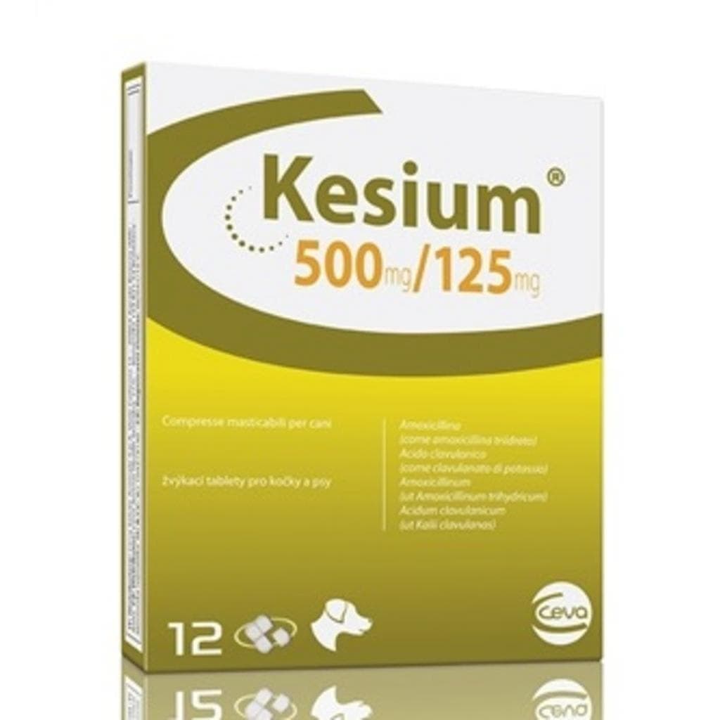 Kesium*12cpr Mast 500mg+125mg