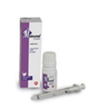 Meloxoral*Os 10ml 0,5mg/Ml Gat