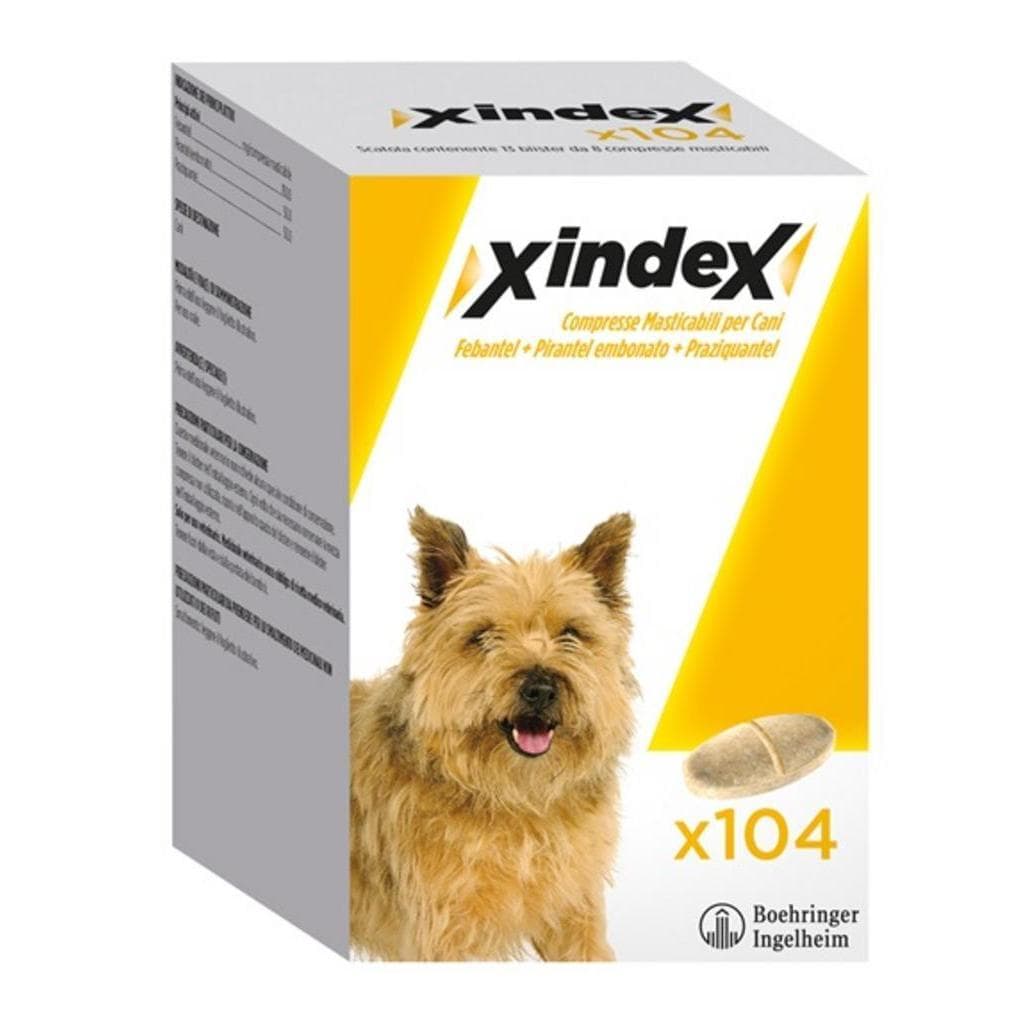 Xindex*104cpr Mast Cani