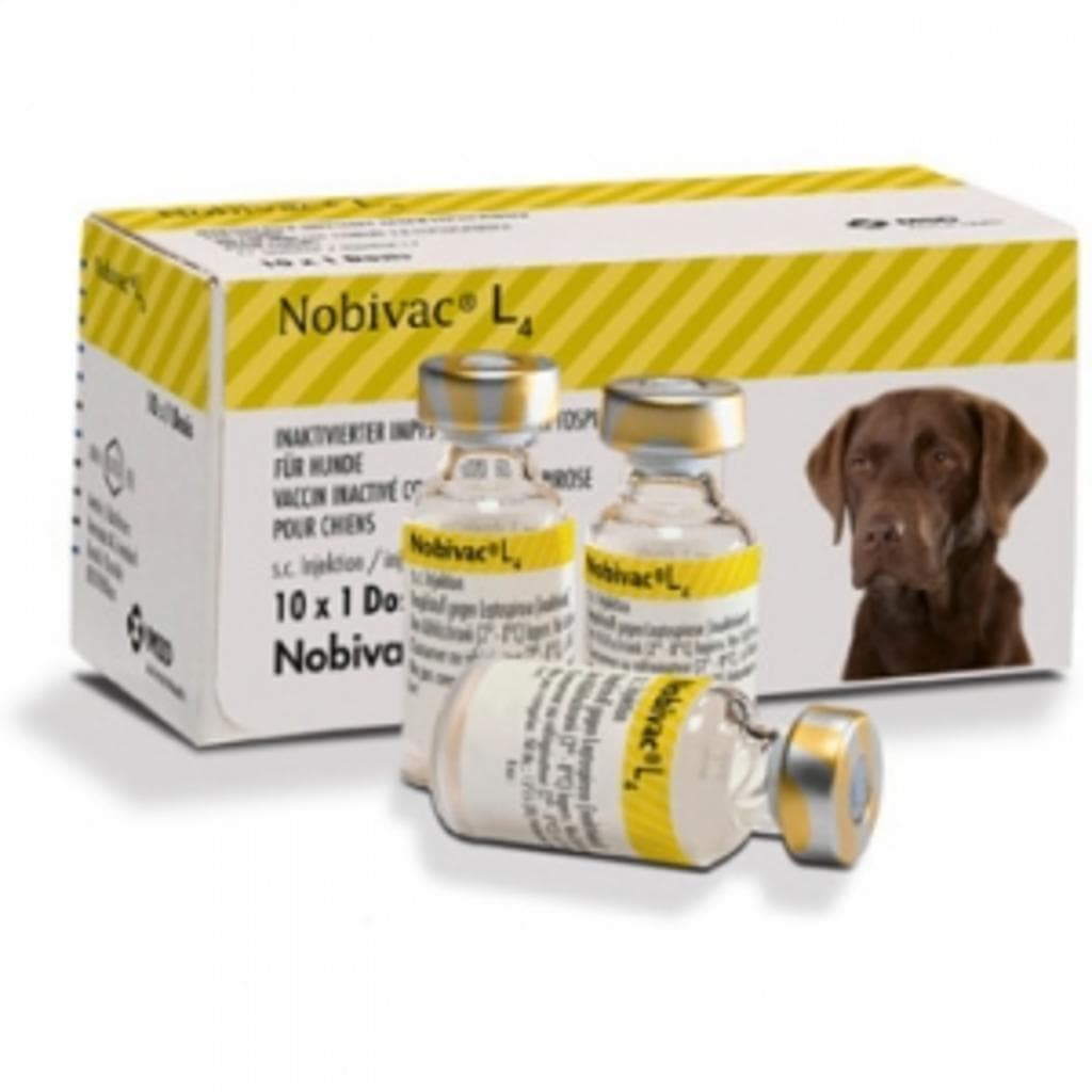 Nobivac L4*Sc 50fl 1ml 1d