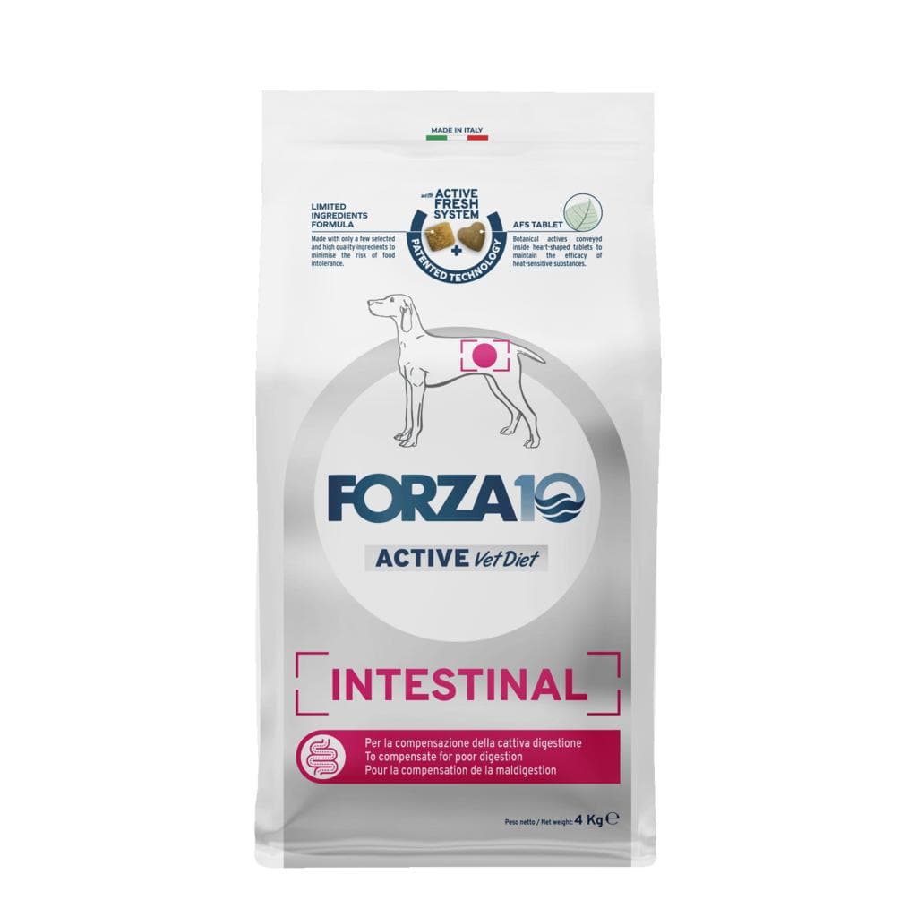 Forza 10 Active Dog Adult Intestinal 4kg