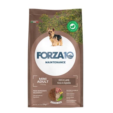 Forza 10 Maint Dog Adult Mini Agnello/Riso S/