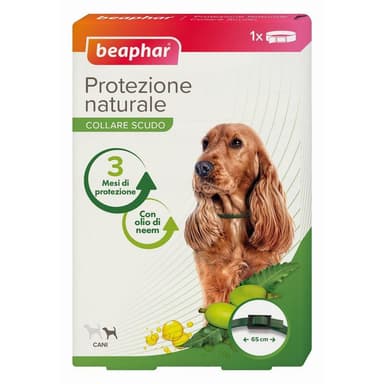 Bea Pn Collare Cane Piccolo/Medio