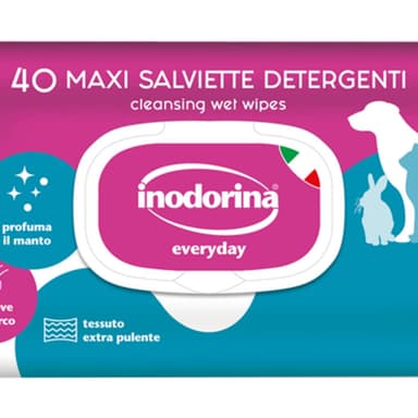 Inodorina Salv Everyday Talco 40pz