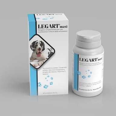 Aurora Biofarma Legart Maxi 60cpr