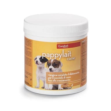 Candioli Pappylait Cane 250gr