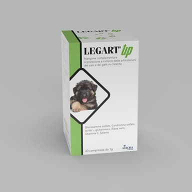 Aurora Biofarma Legart Up 60cpr