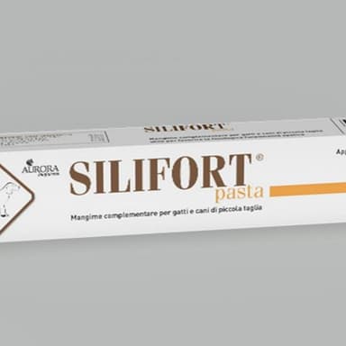 Aurora Biofarma Silifort Pasta 30gr