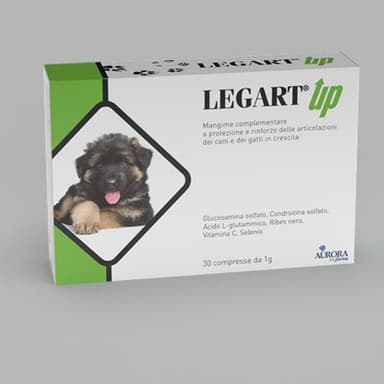 Aurora Biofarma Legart Up 30cpr