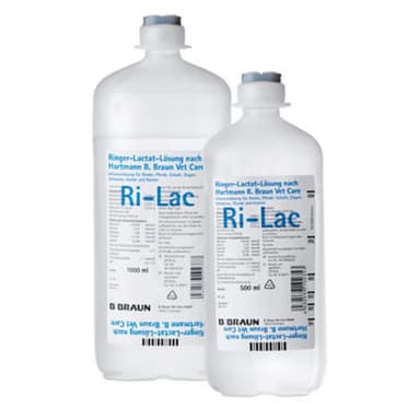 Bbraun Ringer Lattato 1000ml