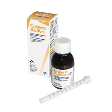 Slais Entero Active 100ml