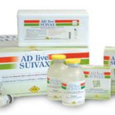 Adlive Suivax*Im Fl 10d+Fl20ml