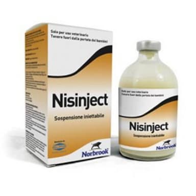 Nisinject*Iniet Fl 100ml