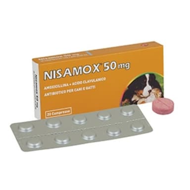 Nisamox*10cpr 500mg