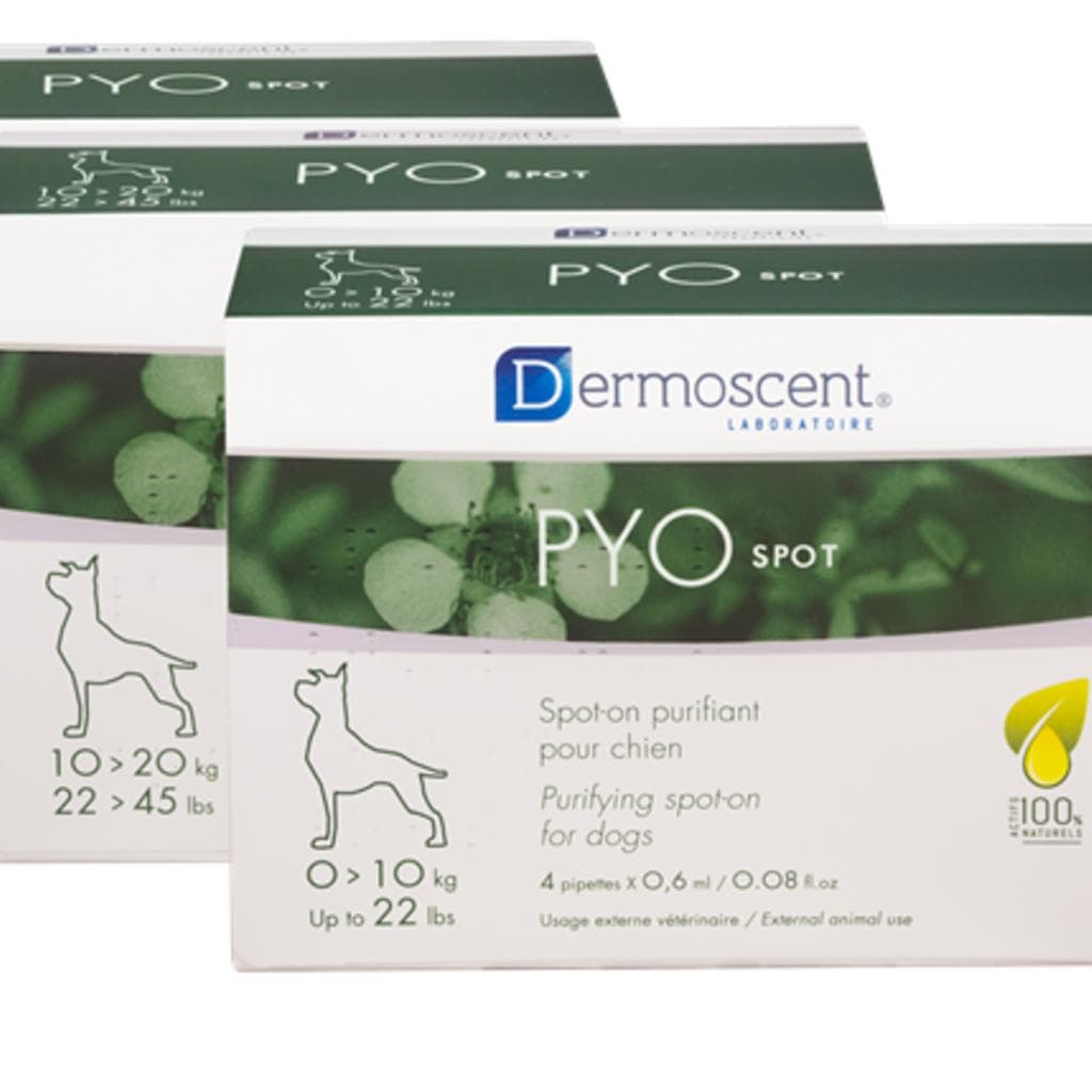 Der Pyospot  For Dogs 0-10 Kg