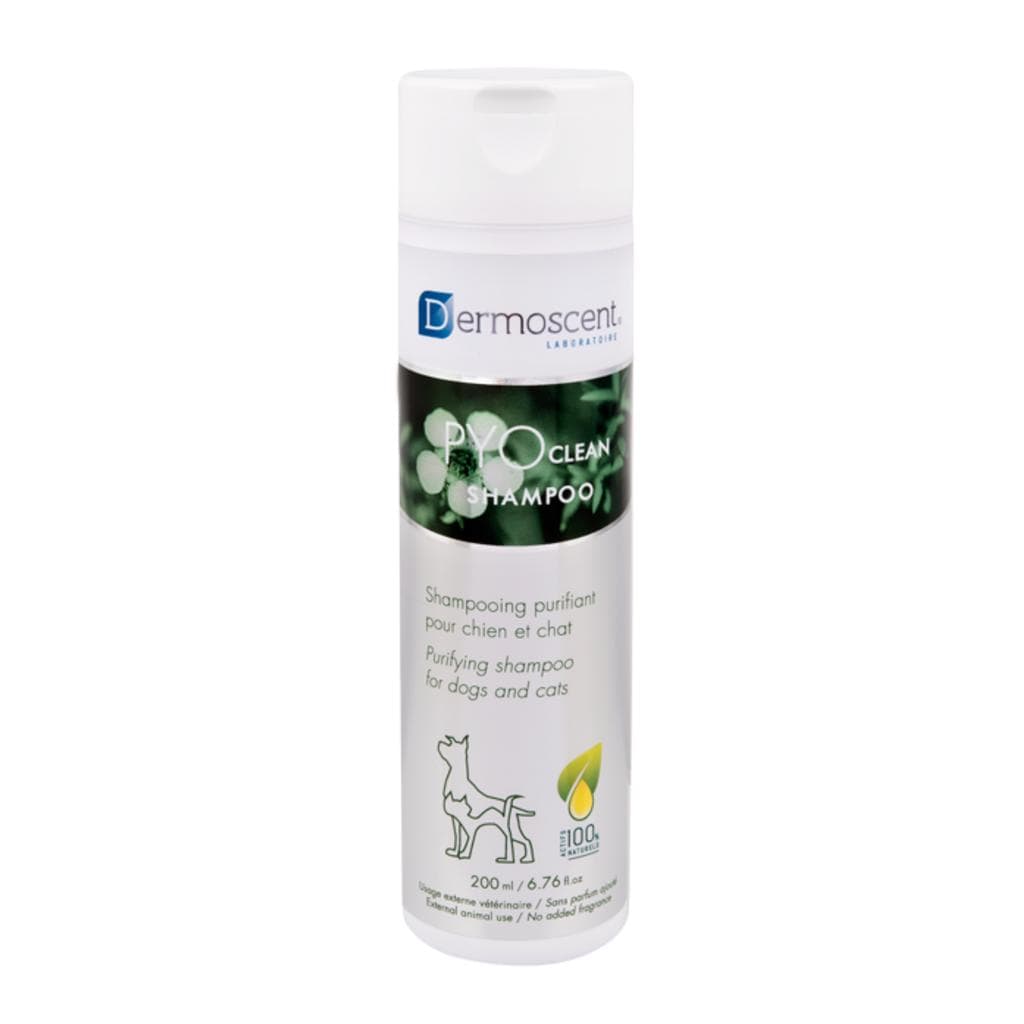 Der Pyoclean  Shampoo 200ml