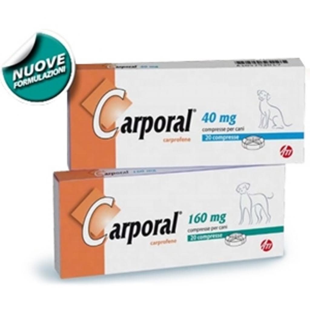 Carporal*20cpr 160mg