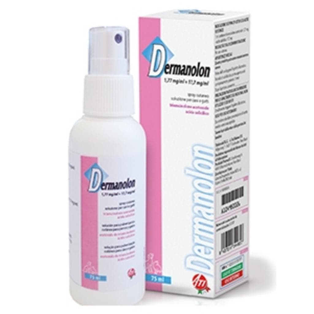 Dermanolon*Spray Fl 75ml