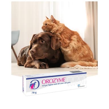 Ecu Orozyme Gel Igiene Orale 70gr