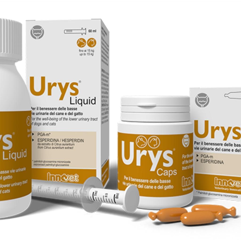 Innovet Urys Liquid 60ml