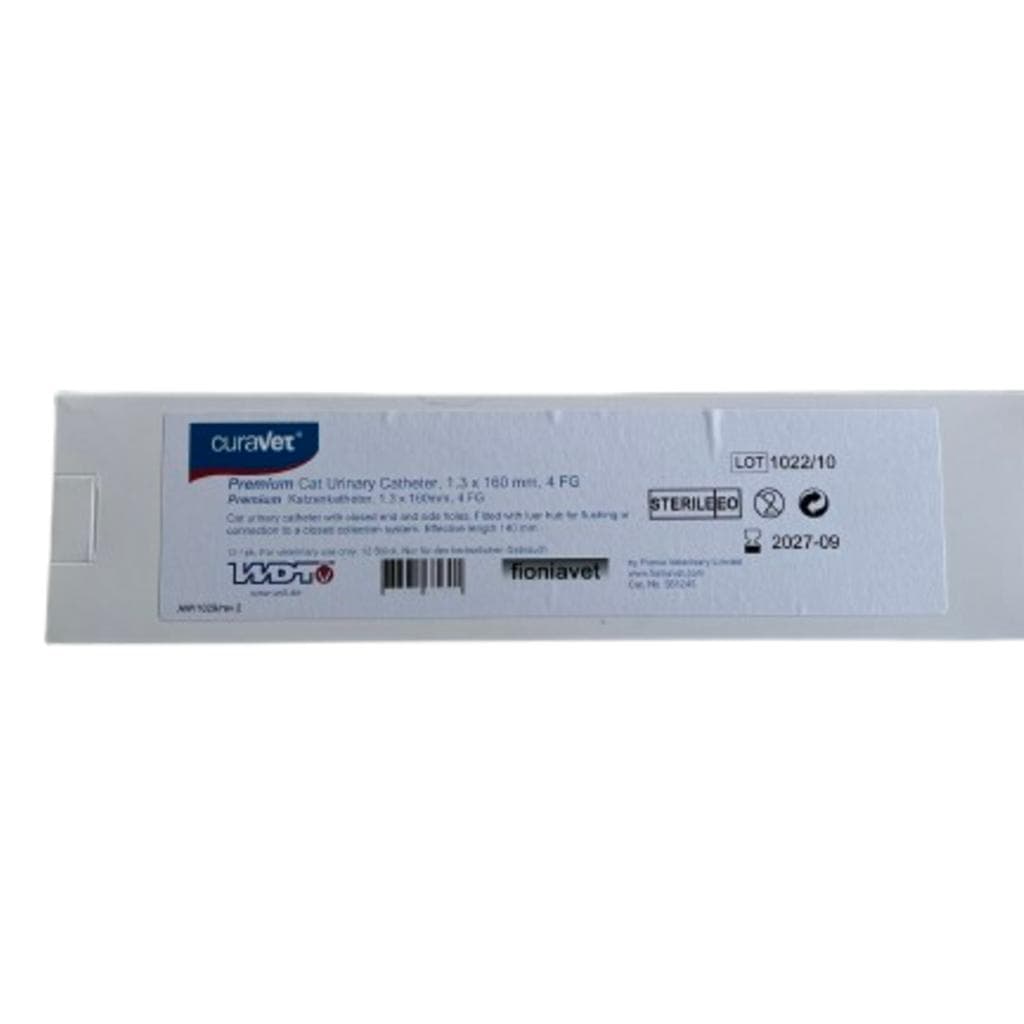 Fioniavet Catetere Gatto 1.0x130mm Con Mandrino