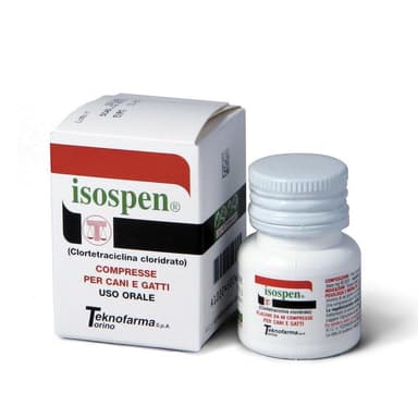 Isospen*40cpr 100mg Fl