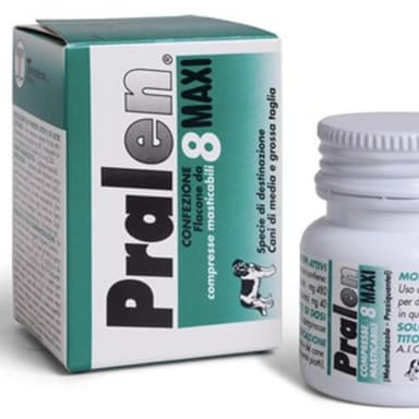 Pralen Maxi*35cpr Mast Fl
