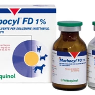 Marbocyl Fd*Fl 1008mg+Fl 20ml
