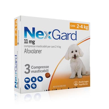 Nexgard*3cpr 2-4kg 11mg