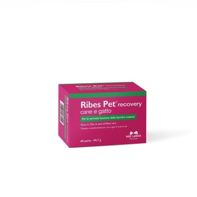 Nbf Ribes Pet Recovery 60prl