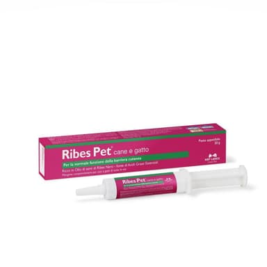 Nbf Ribes Pet Pasta 30gr