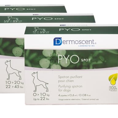 Der Pyospot For Dogs 20-40 Kg