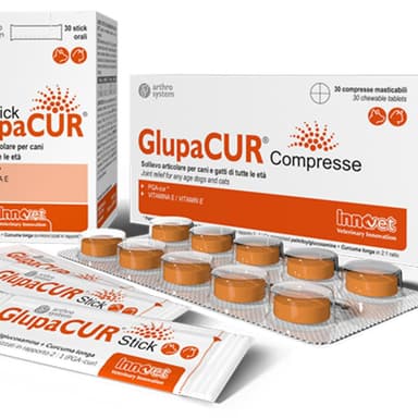 Innovet Glupacur 30 Stick Orali