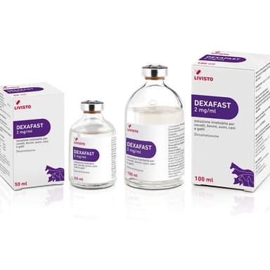 Dexafast*Iniet 100ml 2mg/Ml