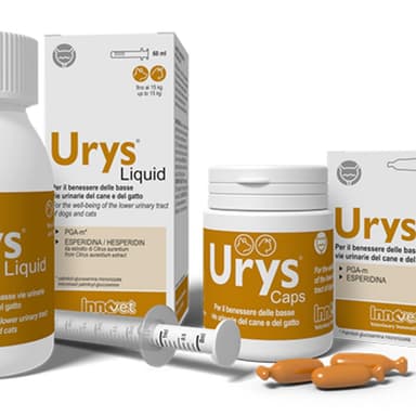 Innovet Urys Liquid 60ml