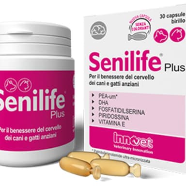 Innovet Senilife Plus 30 Cps
